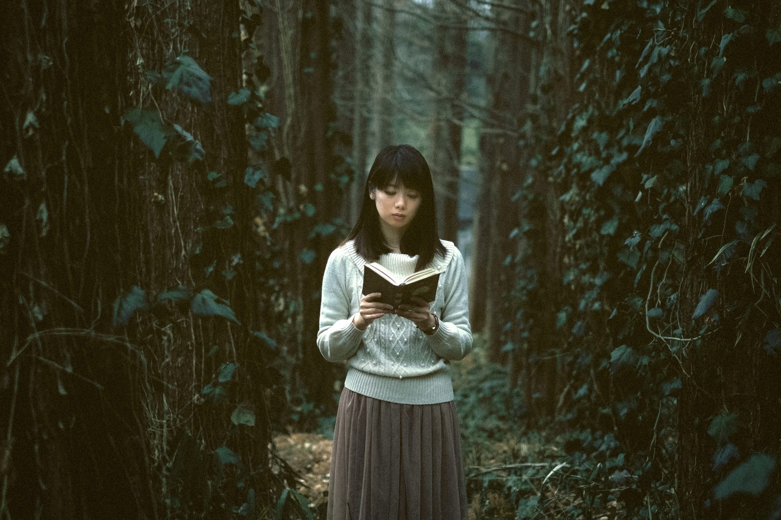 読書の森